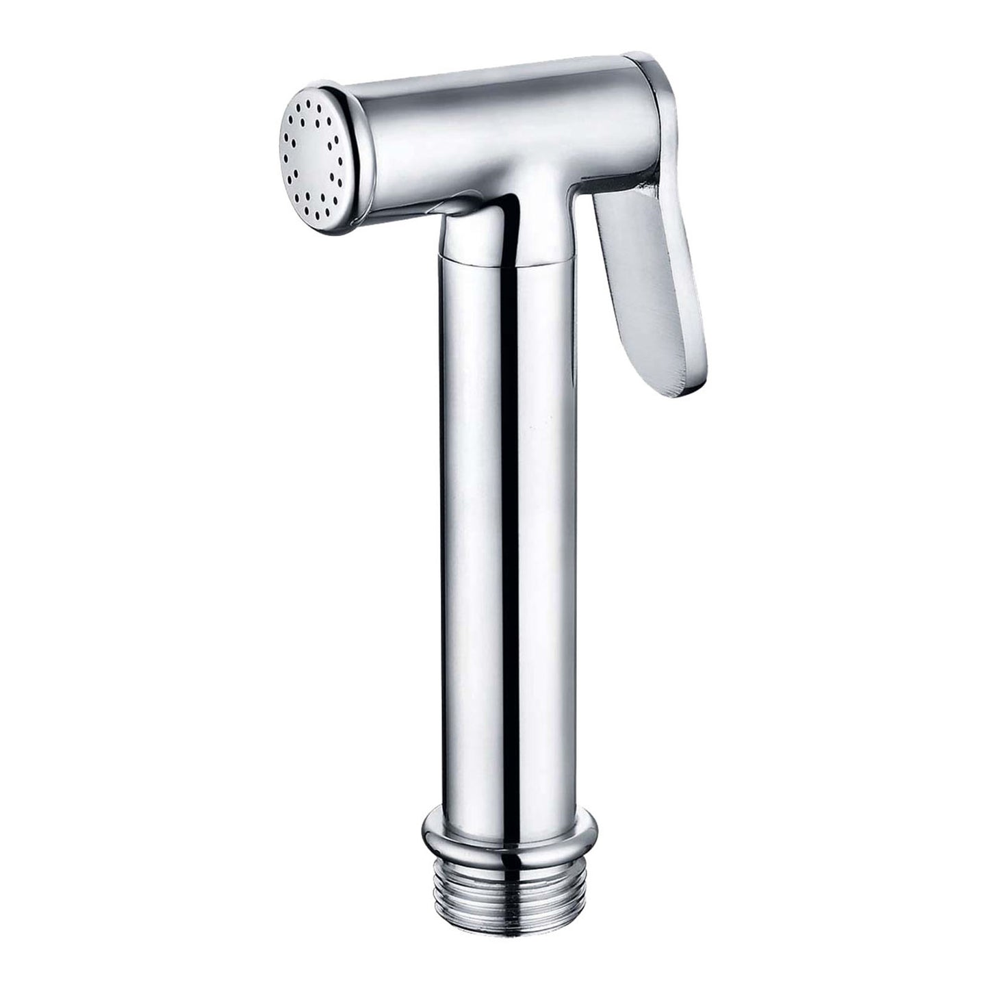 EuroShowers Chrome Bidet Spray Head