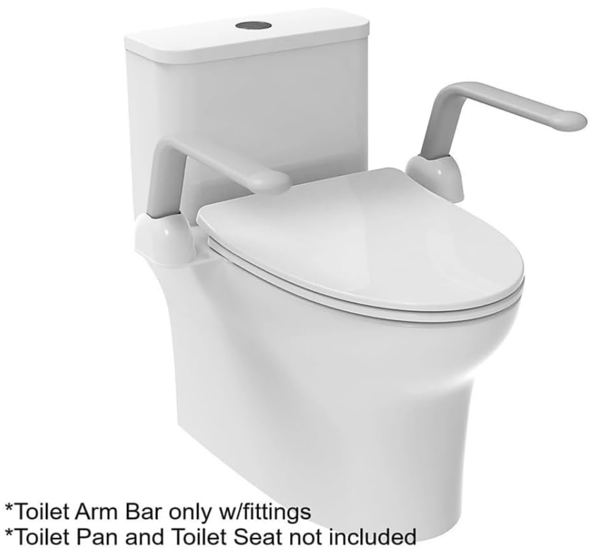 EuroShowers Toilet Support - Toilet Mounted Foldable Arms / Grab Bar Rails