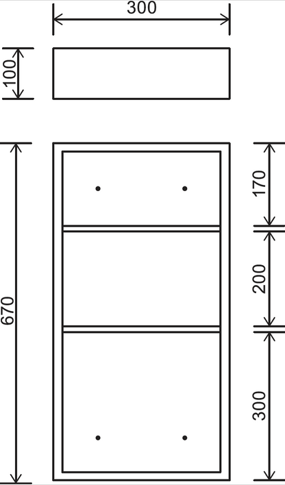 EuroShowers Wall Mounted Stainless Steel Mirrored Single Cabinet