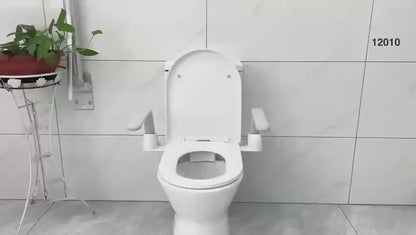 EuroShowers Toilet Support - Toilet Mounted Foldable Arms / Grab Bar Rails
